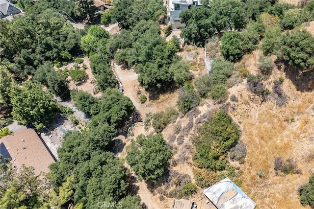 3577 Shaw Ranch Rd, Pasadena, CA 91107 - photo 10
