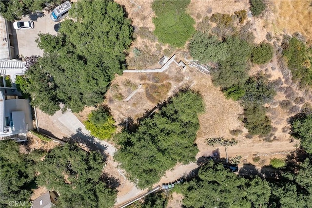 3577 Shaw Ranch Rd, Pasadena, CA 91107 - photo 15
