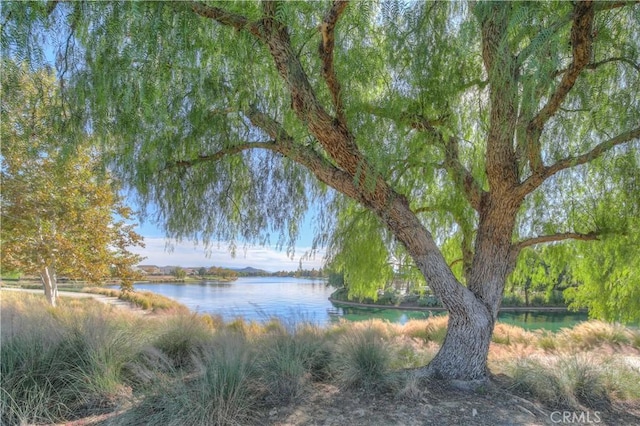 28160 Millstream Ct, Menifee, CA 92585 - photo 46