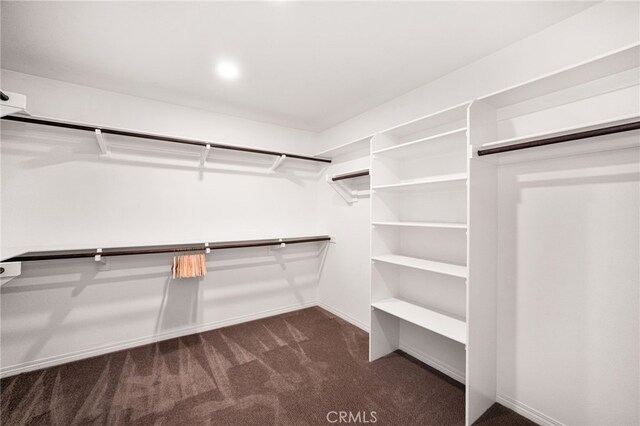 11810 Sanderling Way, Jurupa Valley, CA 91752 - walk in closet with carpet flooring