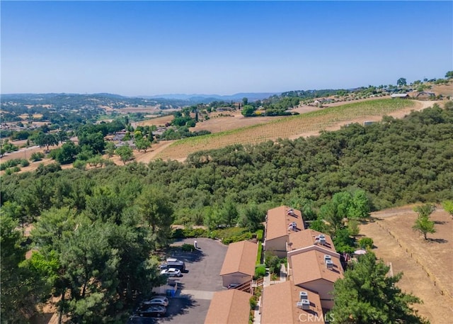 123 Olive St, Paso Robles, CA 93446 - drone / aerial view