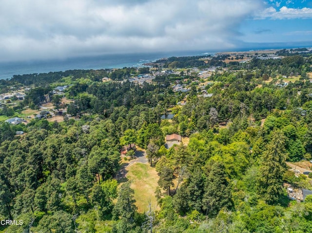 14765 Atkins Way, Fort Bragg, CA 95437 - photo 44
