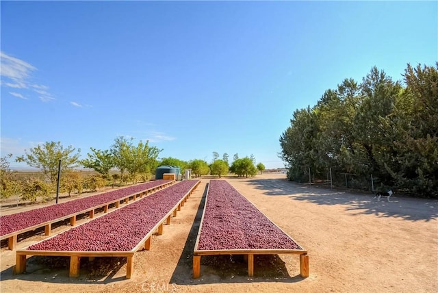 11446 Midway Ave, Lucerne Valley, CA 92356 - photo 43