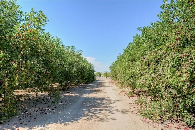11446 Midway Ave, Lucerne Valley, CA 92356 - photo 62
