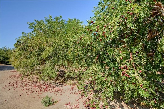 11446 Midway Ave, Lucerne Valley, CA 92356 - photo 37