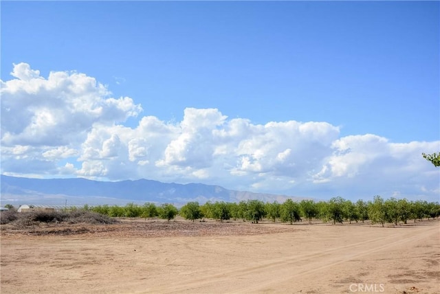 11446 Midway Ave, Lucerne Valley, CA 92356 - photo 57