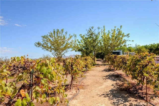 11446 Midway Ave, Lucerne Valley, CA 92356 - photo 44