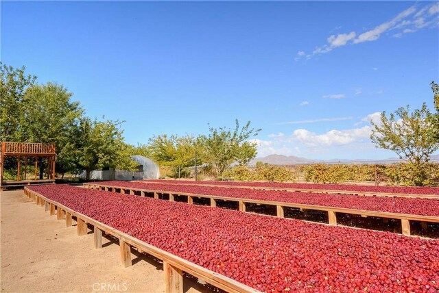 11446 Midway Ave, Lucerne Valley, CA 92356 - photo 41