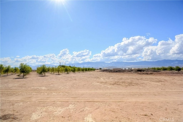 11446 Midway Ave, Lucerne Valley, CA 92356 - photo 54
