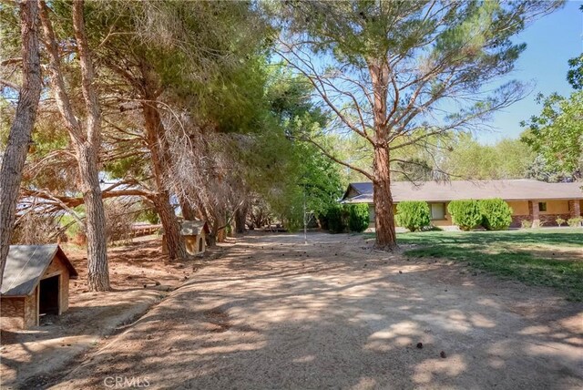 11446 Midway Ave, Lucerne Valley, CA 92356 - photo 70