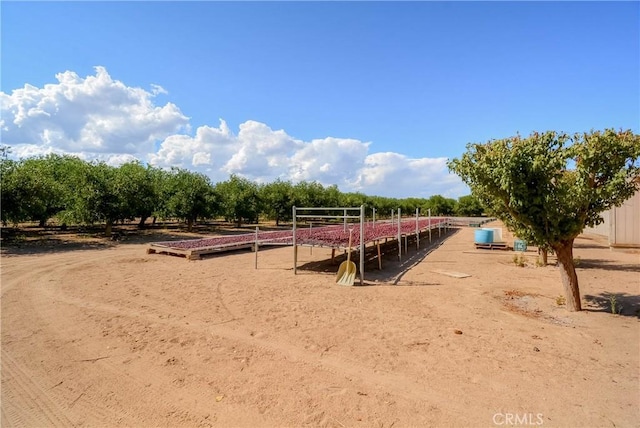 11446 Midway Ave, Lucerne Valley, CA 92356 - photo 50