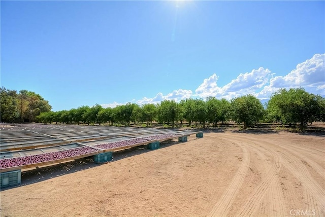 11446 Midway Ave, Lucerne Valley, CA 92356 - photo 4