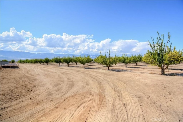 11446 Midway Ave, Lucerne Valley, CA 92356 - photo 65