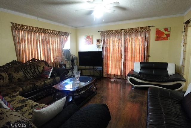 1063 Quarry St, Corona, CA 92879 - living area featuring wood finished floors, ceiling fan, ornamental molding, and a textured ceiling