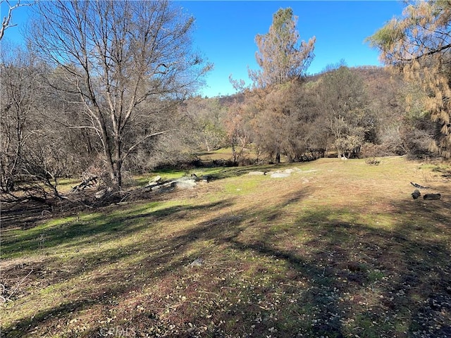 705 Triangle Rd, Mariposa, CA 95338 - photo 4