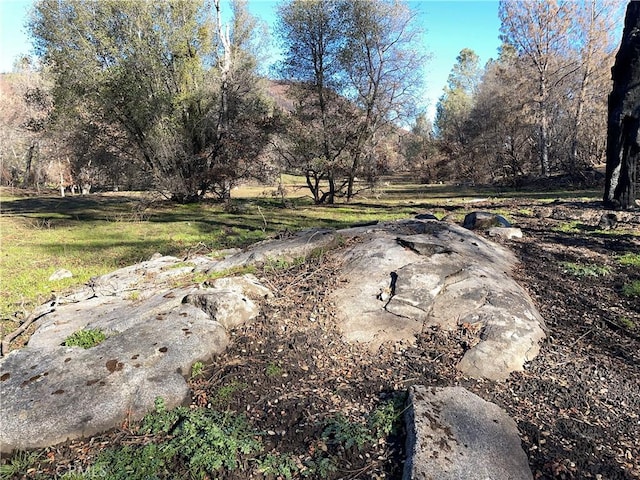 705 Triangle Rd, Mariposa, CA 95338 - photo 13