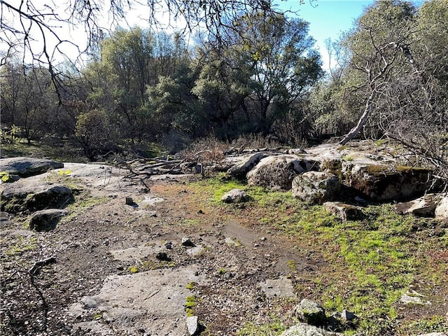 705 Triangle Rd, Mariposa, CA 95338 - photo 9
