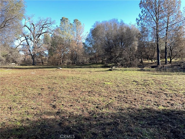 705 Triangle Rd, Mariposa, CA 95338 - photo 14