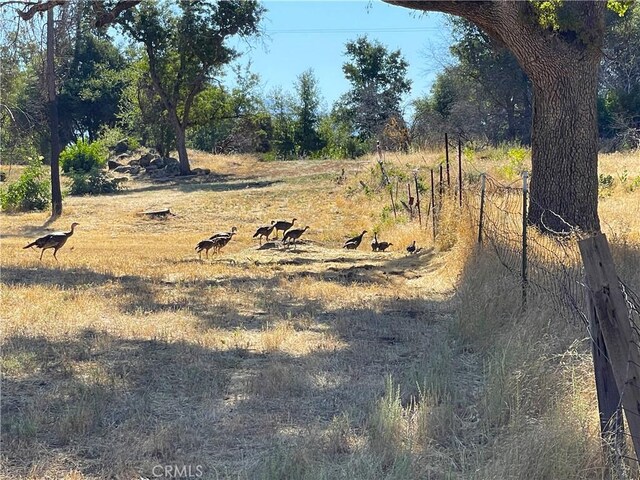 705 Triangle Rd, Mariposa, CA 95338 - photo 2