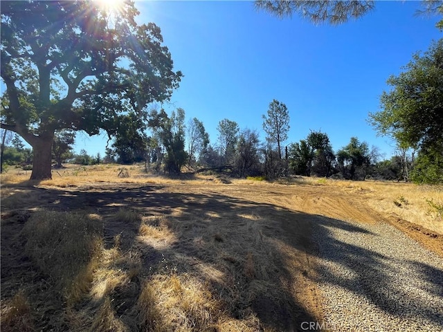 705 Triangle Rd, Mariposa, CA 95338 - photo 1