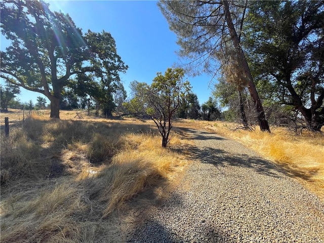 705 Triangle Rd, Mariposa, CA 95338 - photo 10