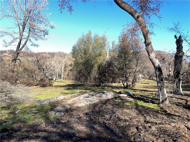 705 Triangle Rd, Mariposa, CA 95338 - photo 12