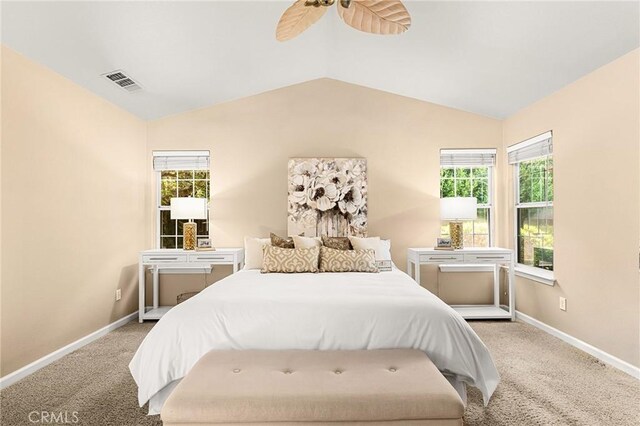 12 Smith Brothers Ct, Chico, CA 95926 - photo 29
