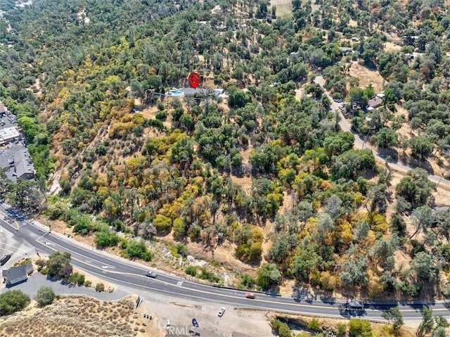 46455 Konklin Rd, Coarsegold, CA 93614 - photo 49