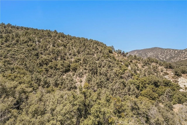 2405 Yellowstone Ct, Pine Mountain Club, CA 93225 - photo 39