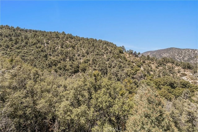 2405 Yellowstone Ct, Pine Mountain Club, CA 93225 - photo 50