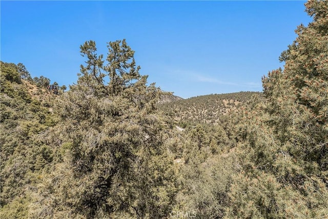 2405 Yellowstone Ct, Pine Mountain Club, CA 93225 - photo 51