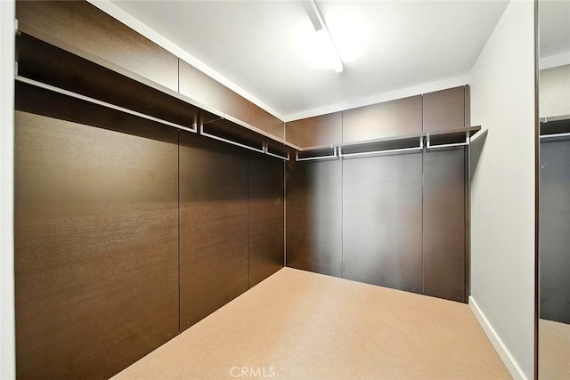 6250 Hollywood Blvd Unit 4D, Los Angeles, CA 90028 - view of spacious closet