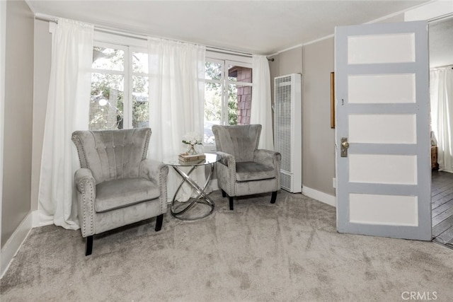 1010 N Madison Ave, Pasadena, CA 91104 - living area with a heating unit and carpet flooring
