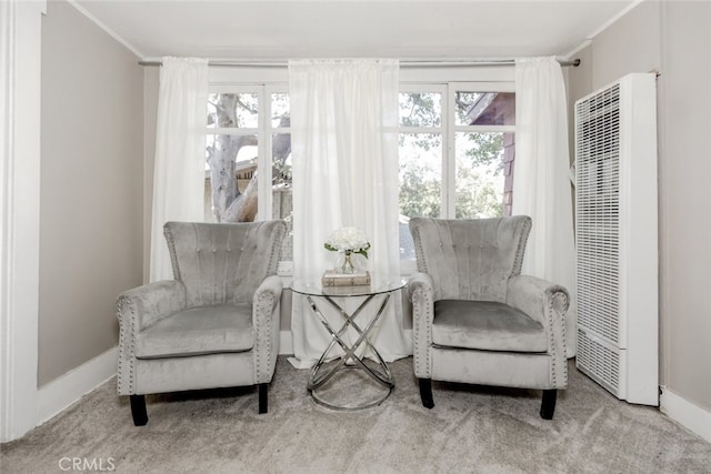 1010 N Madison Ave, Pasadena, CA 91104 - living area with a heating unit, carpet floors, and crown molding
