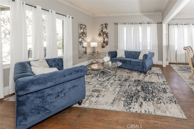 1010 N Madison Ave, Pasadena, CA 91104 - living room with ornamental molding and hardwood / wood-style floors
