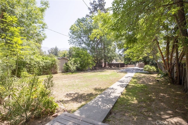 1010 N Madison Ave, Pasadena, CA 91104 - view of yard