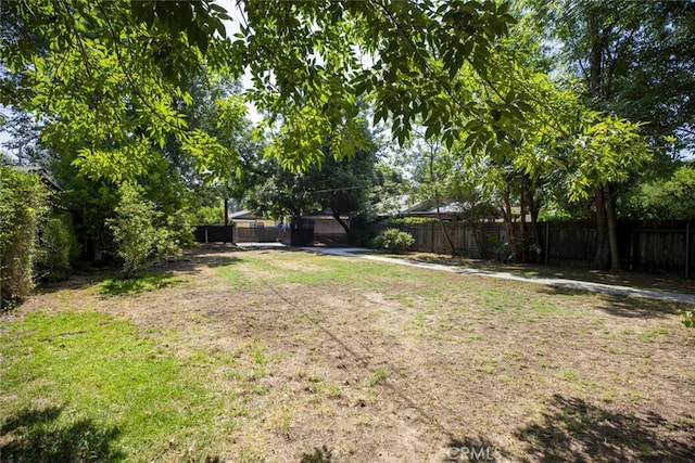 1010 N Madison Ave, Pasadena, CA 91104 - view of yard