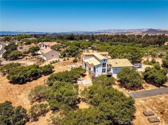 1790 Calle Laguna, Arroyo Grande, CA 93420 - photo 49