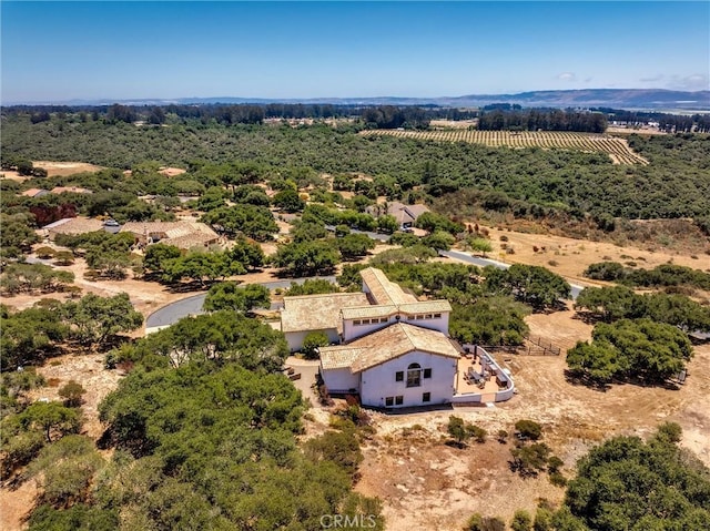 1790 Calle Laguna, Arroyo Grande, CA 93420 - photo 47