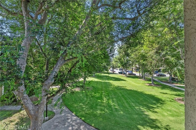 18 Denver Unit 71, Irvine, CA 92604 - surrounding community with a lawn