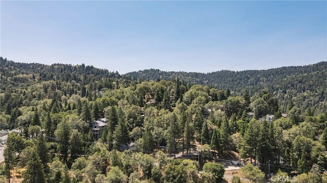 448 Delle Dr, Crestline, CA 92325 - view of mountain background featuring a forest