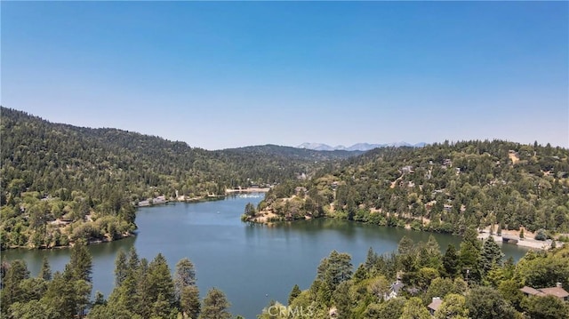448 Delle Dr, Crestline, CA 92325 - water view featuring a forest and mountains