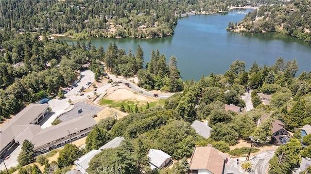 448 Delle Dr, Crestline, CA 92325 - aerial view of property and surrounding area featuring a large body of water and a forest