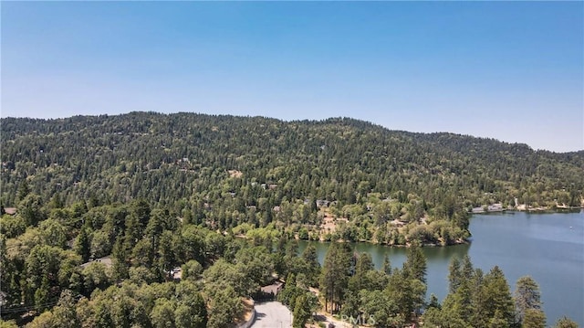 448 Delle Dr, Crestline, CA 92325 - bird's eye view of a heavily wooded area and a large body of water