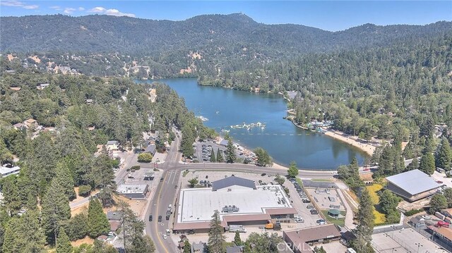 486 Thousand Pines Rd, Crestline, CA 92325 - photo 10