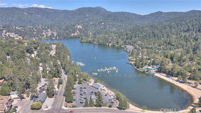486 Thousand Pines Rd, Crestline, CA 92325 - photo 11