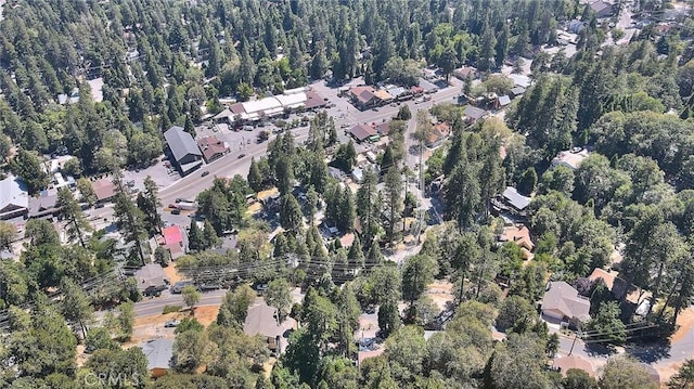 486 Thousand Pines Rd, Crestline, CA 92325 - photo 8