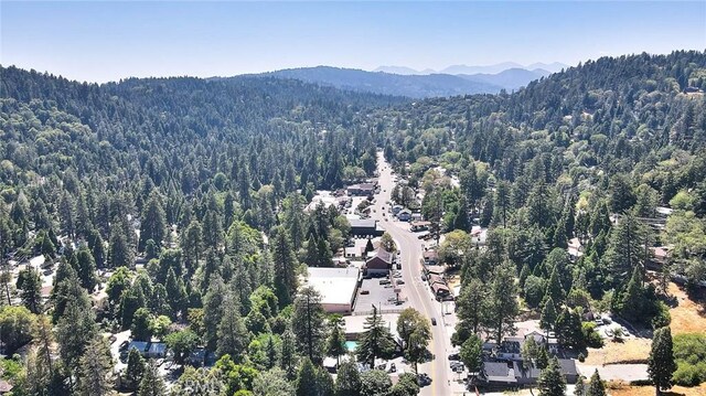 486 Thousand Pines Rd, Crestline, CA 92325 - photo 13