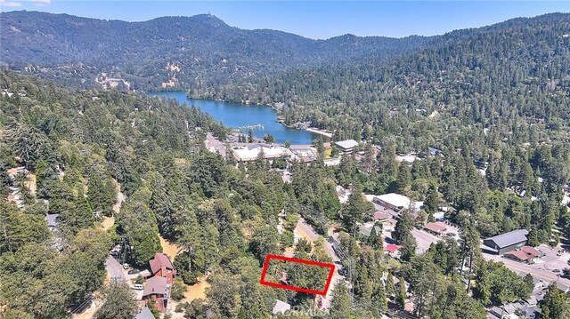 486 Thousand Pines Rd, Crestline, CA 92325 - photo 18