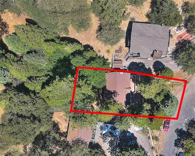486 Thousand Pines Rd, Crestline, CA 92325 - photo 15